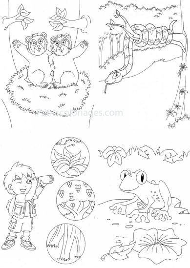 4 petits coloriages Diego : grenouille, serpent, nid